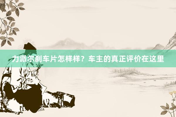 力派尔刹车片怎样样？车主的真正评价在这里